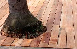 Deck Madeira - 10